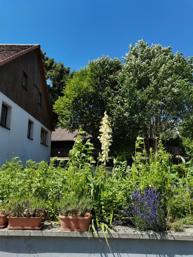 Ferienwohnungen Hering Kleingiesshubel Eksteriør billede