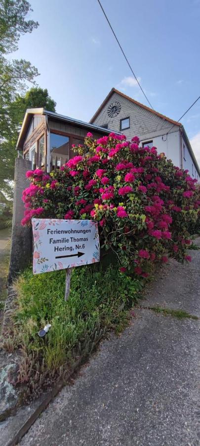 Ferienwohnungen Hering Kleingiesshubel Eksteriør billede